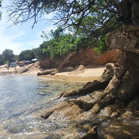 La Conia